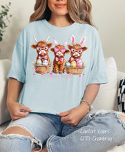 Load image into Gallery viewer, PO SHIPS 3/12 Easter Highland Cows Clear Film DTF Transfer (325 HOT Peel)