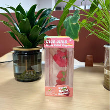Load image into Gallery viewer, Handmade Fruit Ice Cube Squishy Stress Relief Toy
