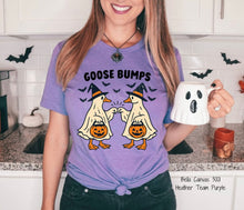 Load image into Gallery viewer, RTS Goose Bumps Clear Film DTF Transfer | Adult Youth (325 HOT Peel)
